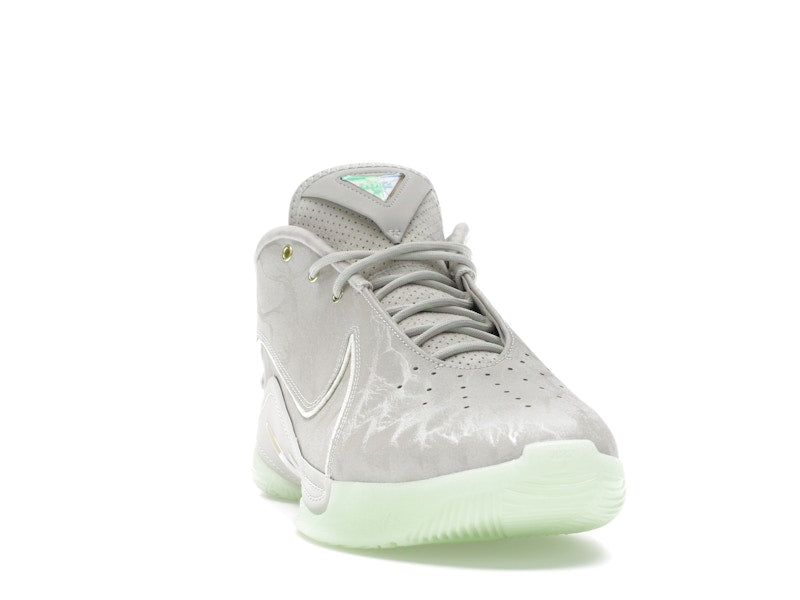 Nike LeBron 22 Dunkman (Translucent Outsole)