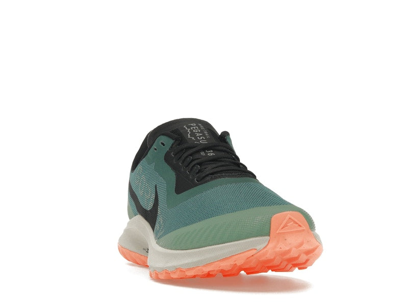 Nike Zoom Pegasus 36 Trail Gore-Tex Bicoastal (Women's)