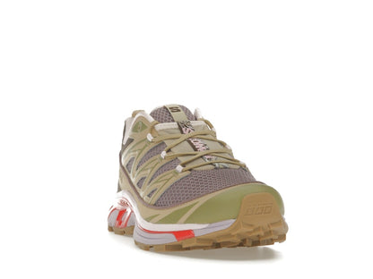 Salomon XT-6 Expanse size? Exclusive Annecy Hotel