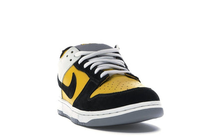 Nike SB Dunk Low Bic