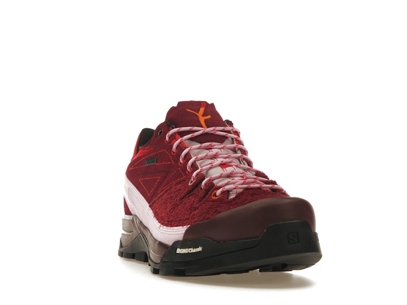 Salomon X-Alpages Gore-Tex The Broken Arm