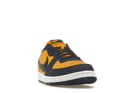 Nike Terminator Low Michigan