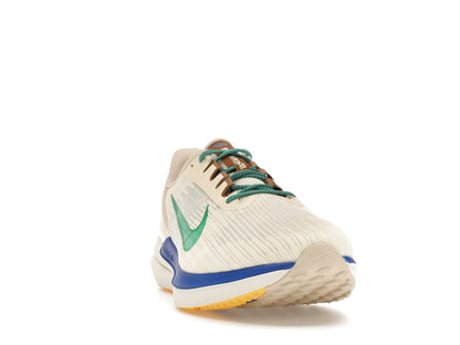 Nike Winflo 9 Premium Nike Moving Company
