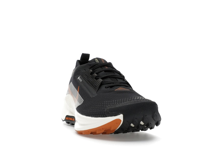Nike Pegasus Trail 5 Gore-Tex Off Noir Black Monarch Pale Ivory