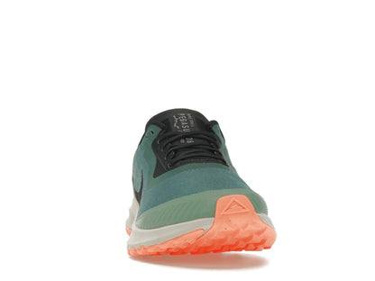 Nike Zoom Pegasus 36 Trail Gore-Tex Bicoastal (Women's)
