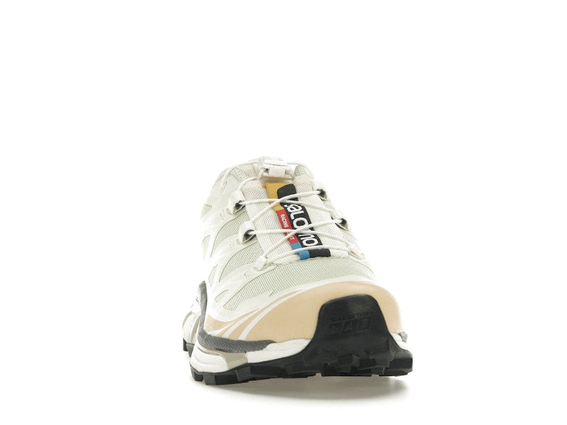 Salomon XT-6 Aloe Wash Feather Grey