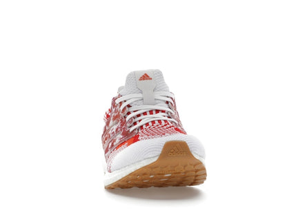 adidas Ultra Boost 5.0 DNA Nature Lab (Women's)