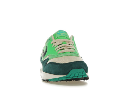 Nike Air Max 1 Birch Atomic Teal