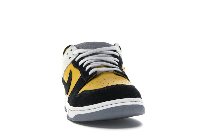 Nike SB Dunk Low Bic