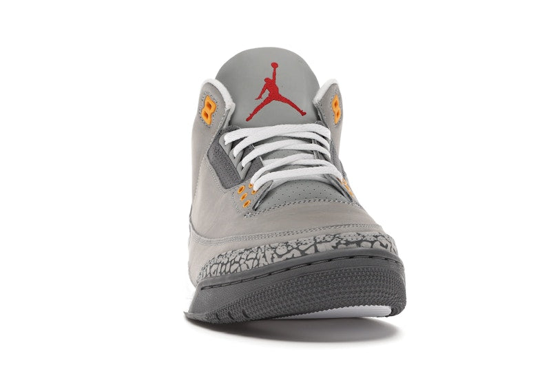 Jordan 3 Retro Cool Grey (2021)