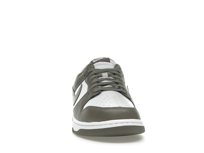 Nike Dunk Low Cave Stone