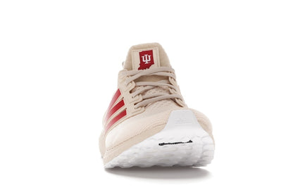 adidas Ultra Boost 1.0 Indiana