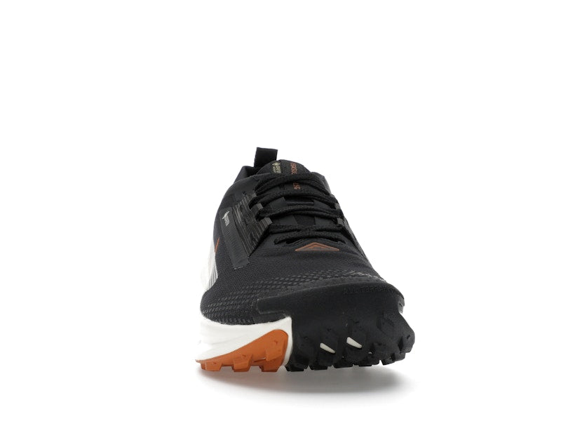Nike Pegasus Trail 5 Gore-Tex Off Noir Black Monarch Pale Ivory