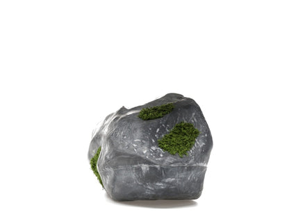 Bravest Studios Rock Shoe Canyaon Granite