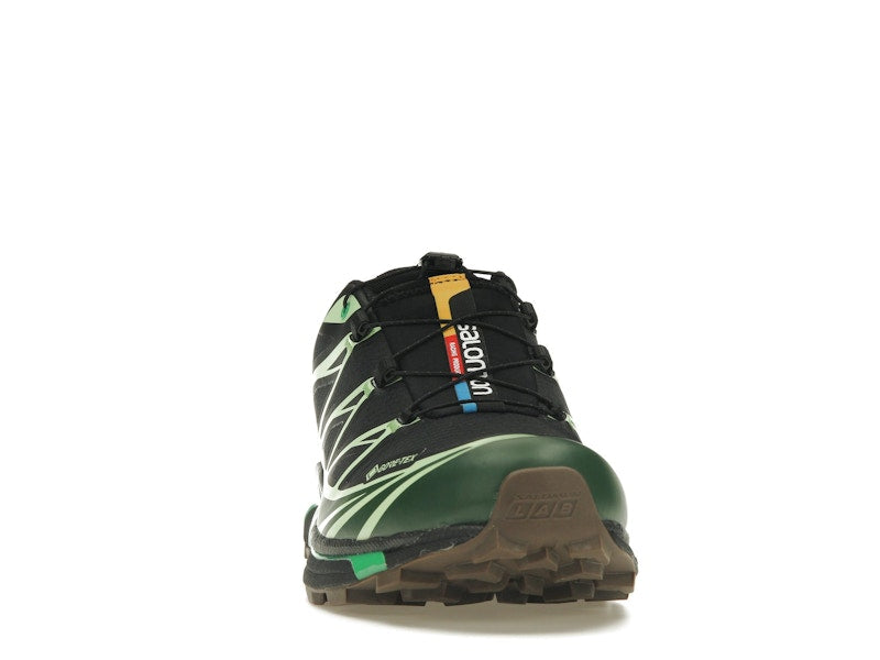 Salomon Advanced XT-6 Gore-Tex Eden Green Ash