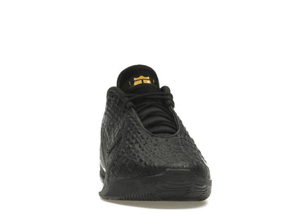 Nike LeBron 22 Black Label