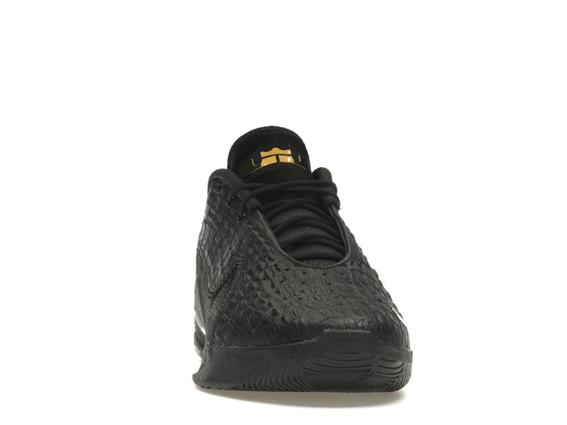 Nike LeBron 22 Black Label