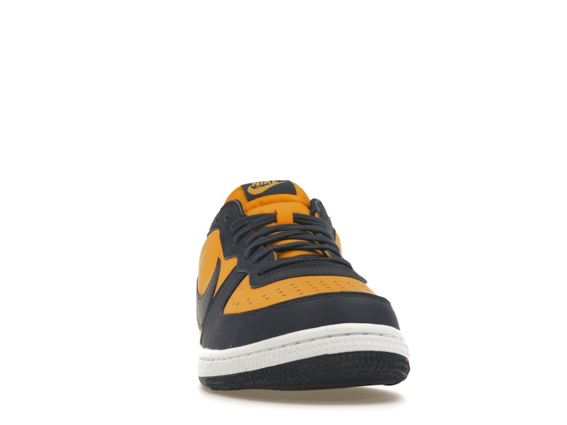 Nike Terminator Low Michigan