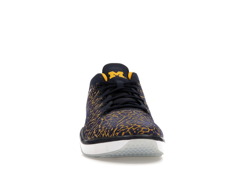 Jordan Trainer 1 Low Michigan