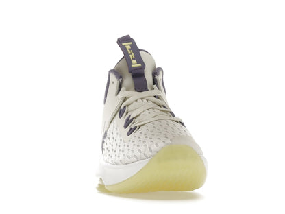 Nike LeBron Witness 5 Summit White Metallic Bronze