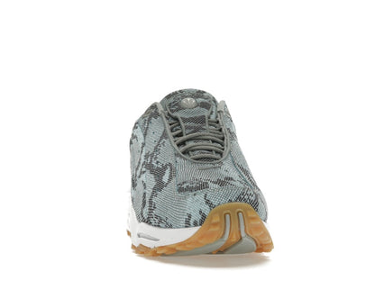 Nike Hot Step Air Terra Drake NOCTA Snakeskin Light Pumice