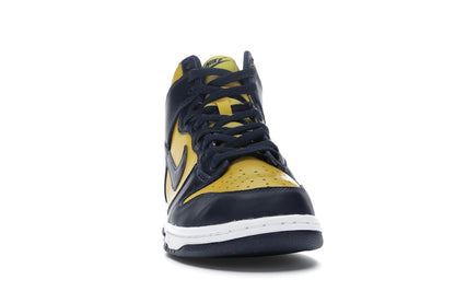Nike Dunk High Michigan (2020)