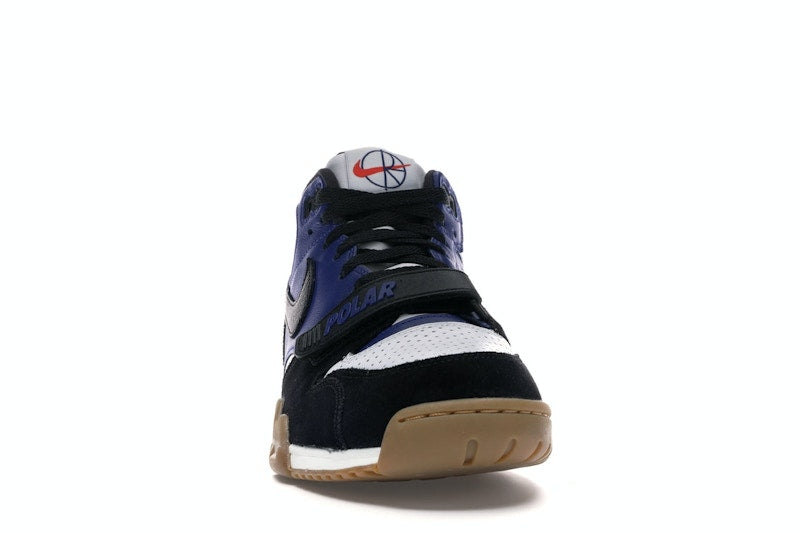 Nike SB Air Trainer 1 Polar Skate Co