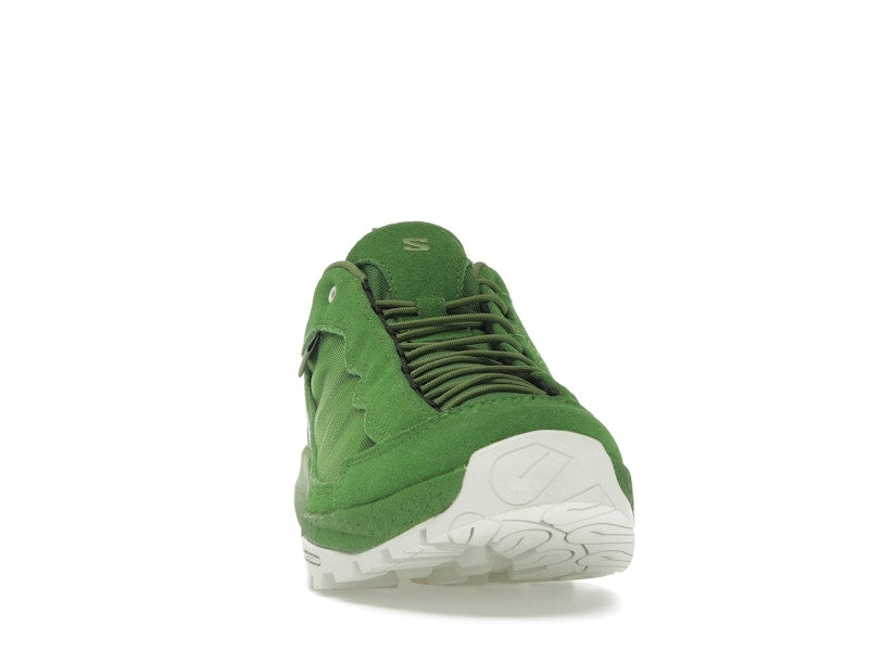 Salomon Alpinway SP2 Philéo Landowski Treetop