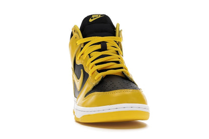 Nike Dunk High Iowa (2020)
