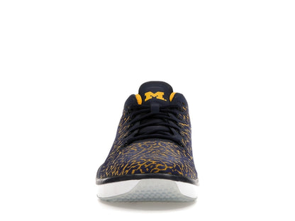 Jordan Trainer 1 Low Michigan