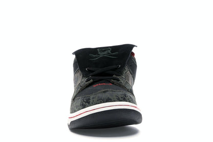 Nike SB Dunk Low SBTG