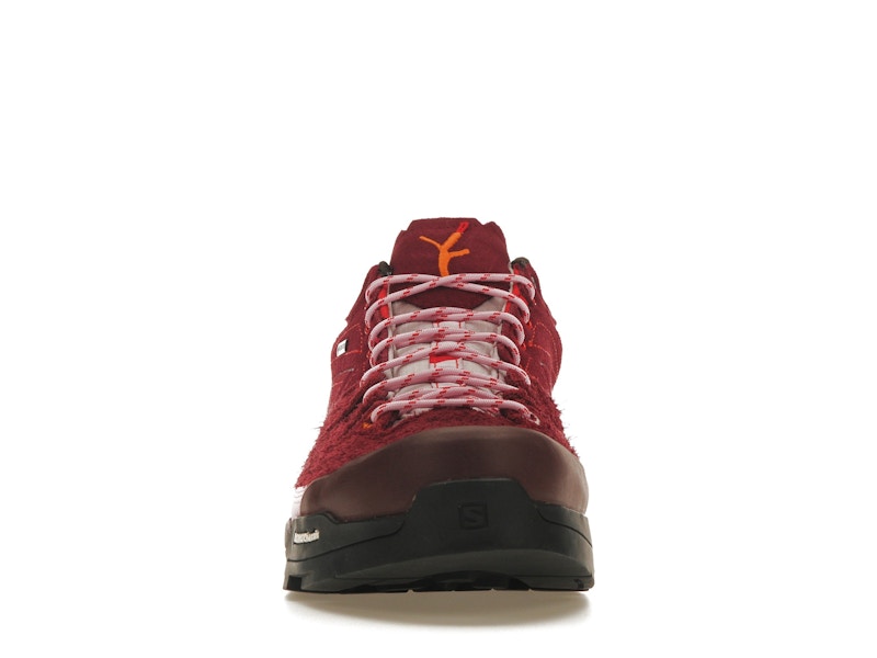 Salomon X-Alpages Gore-Tex The Broken Arm