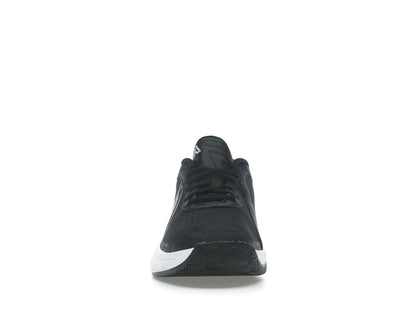 Nike Giannis Zoom Freak 6 Black White Gunsmoke Flat Silver (GS)