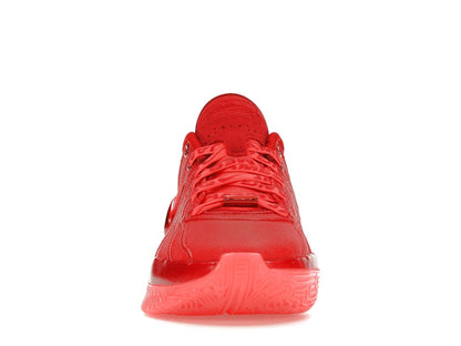 Nike LeBron 21 James Gang