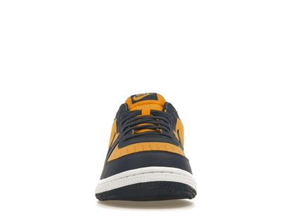 Nike Terminator Low Michigan