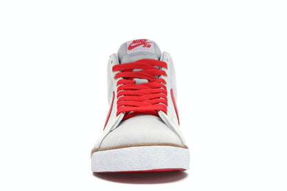 Nike SB Blazer Swoosh Life