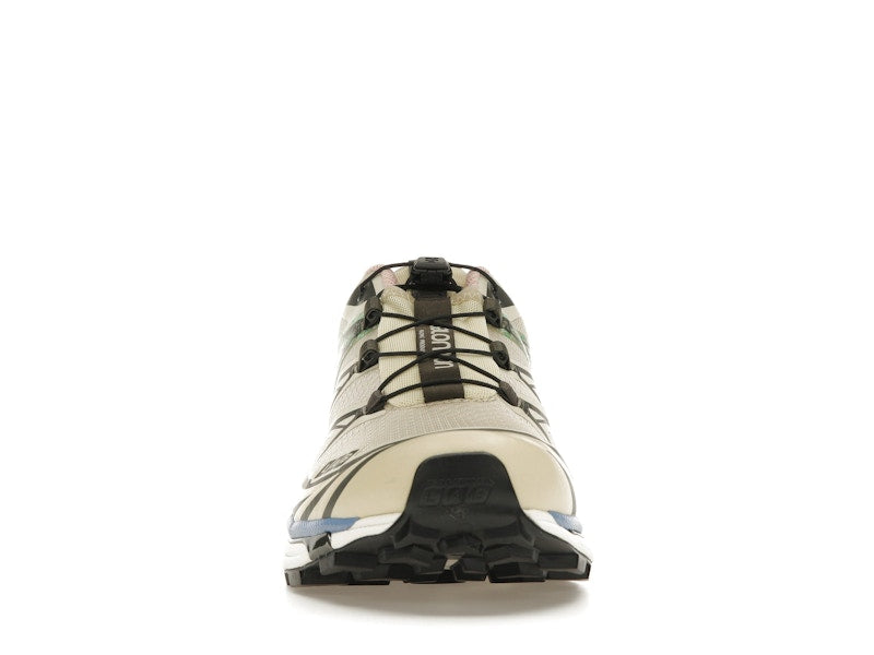 Salomon XT-6 Moth Vanilla