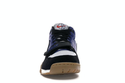 Nike SB Air Trainer 1 Polar Skate Co