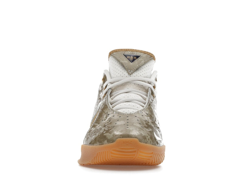 Nike LeBron 22 King of the Court (GS)