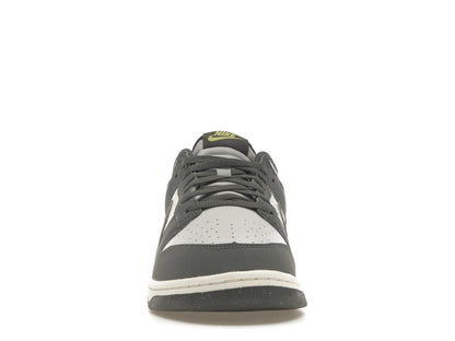 Nike Dunk Low Next Nature Iron Grey Lightning