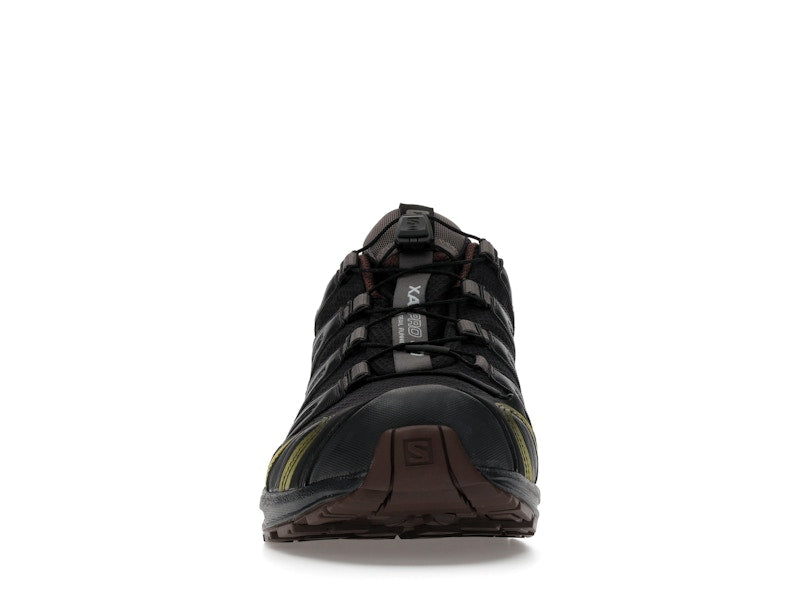 Salomon XA Pro 3D Gore-Tex Cress Green French Roast