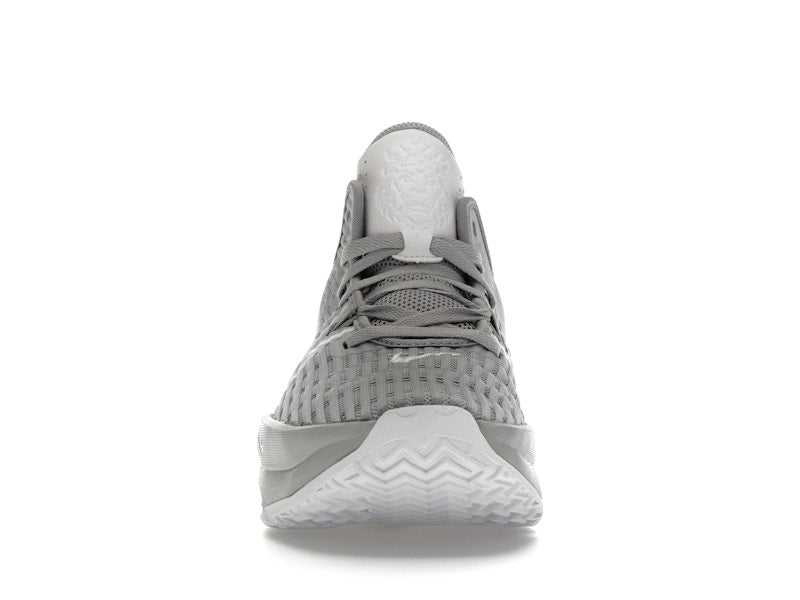 Nike LeBron Witness 6 TB Wolf Grey