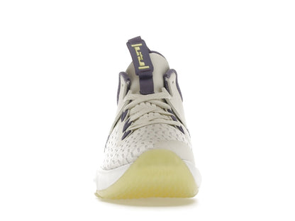 Nike LeBron Witness 5 Summit White Metallic Bronze