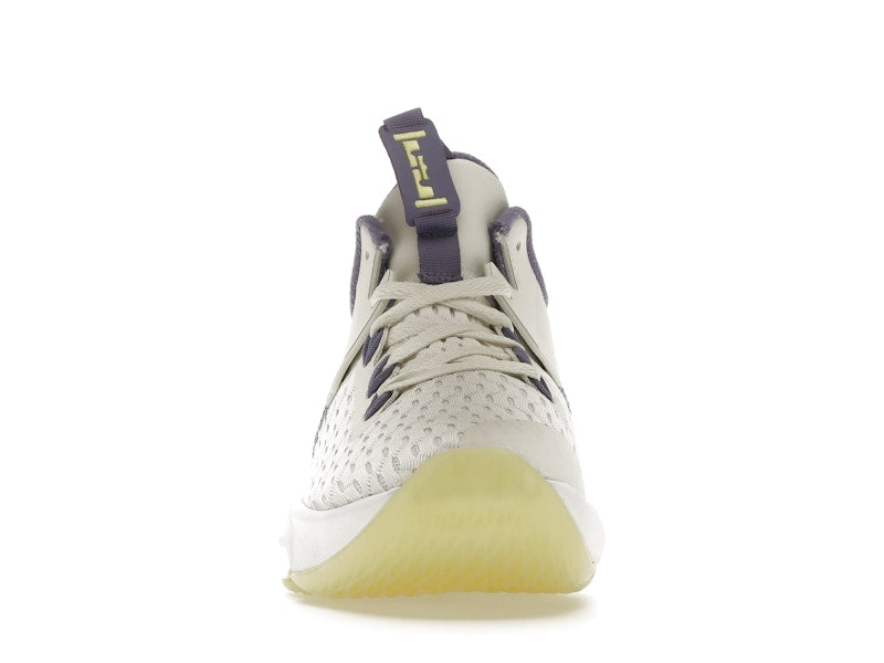 Nike LeBron Witness 5 Summit White Metallic Bronze