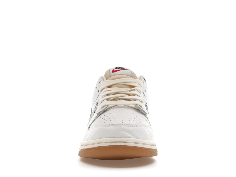 Nike Dunk Low New Americana Washed Denim