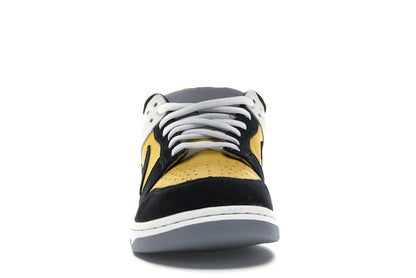 Nike SB Dunk Low Bic