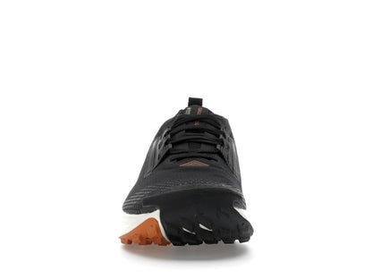 Nike Pegasus Trail 5 Gore-Tex Off Noir Black Monarch Pale Ivory