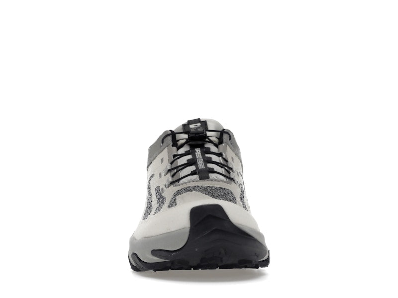 Salomon Speedverse PRG Nimbus Cloud Alloy