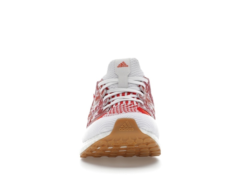 adidas Ultra Boost 5.0 DNA Nature Lab (Women's)