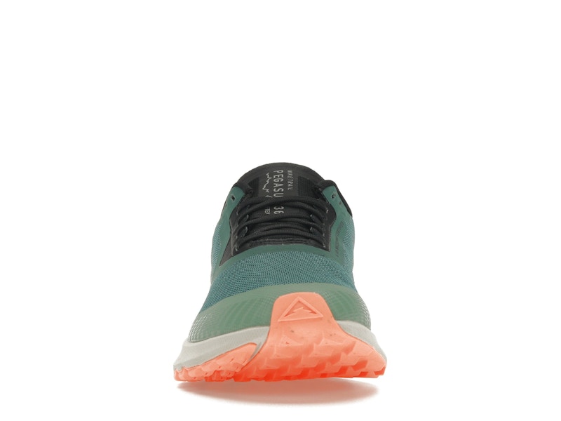 Nike Zoom Pegasus 36 Trail Gore-Tex Bicoastal (Women's)